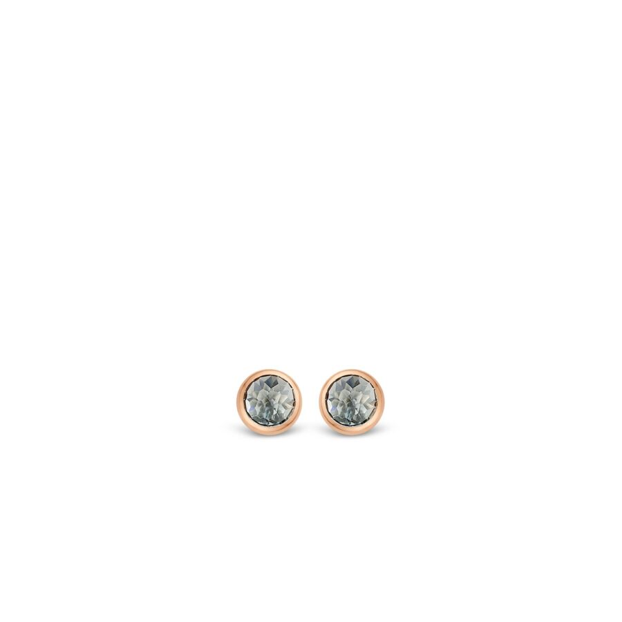 TI SENTO - Milano Earrings 7748GB 7748GB