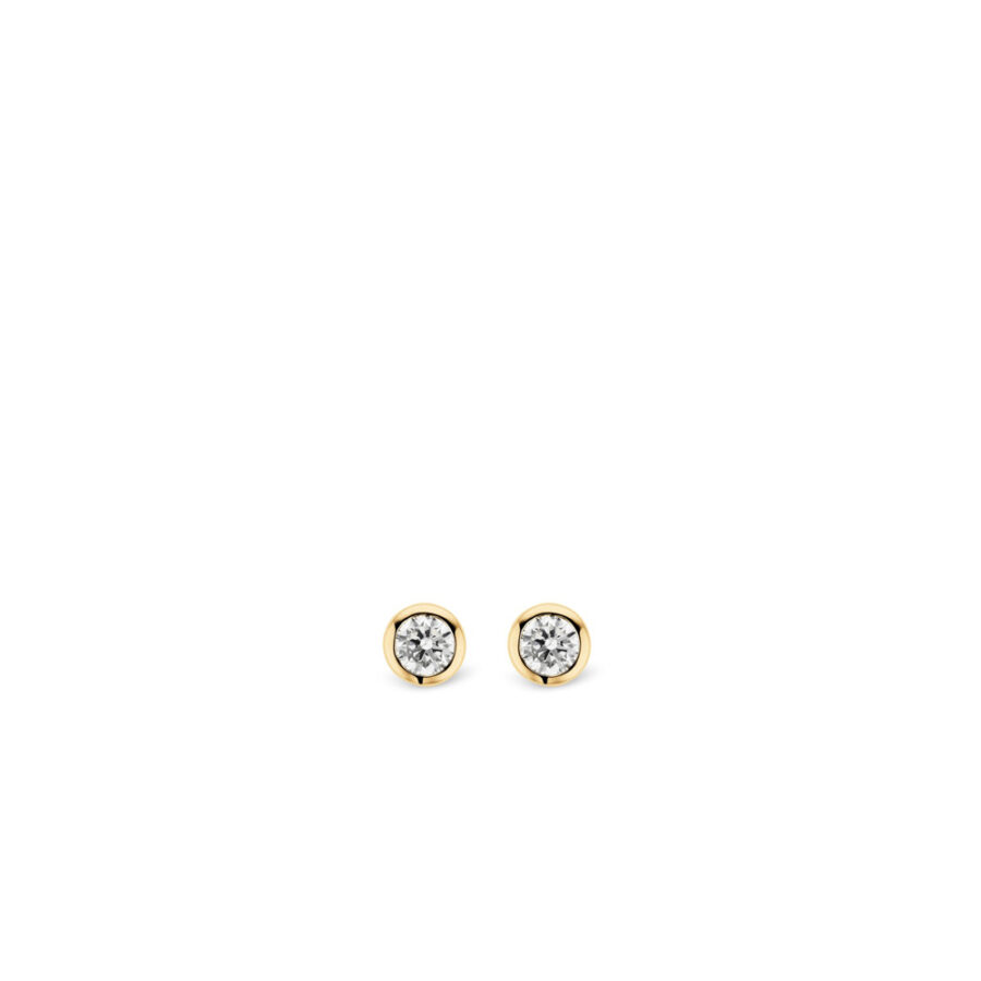 Σκουλαρίκια Ti Sento, επιχρυσωμένο ασήμι 925